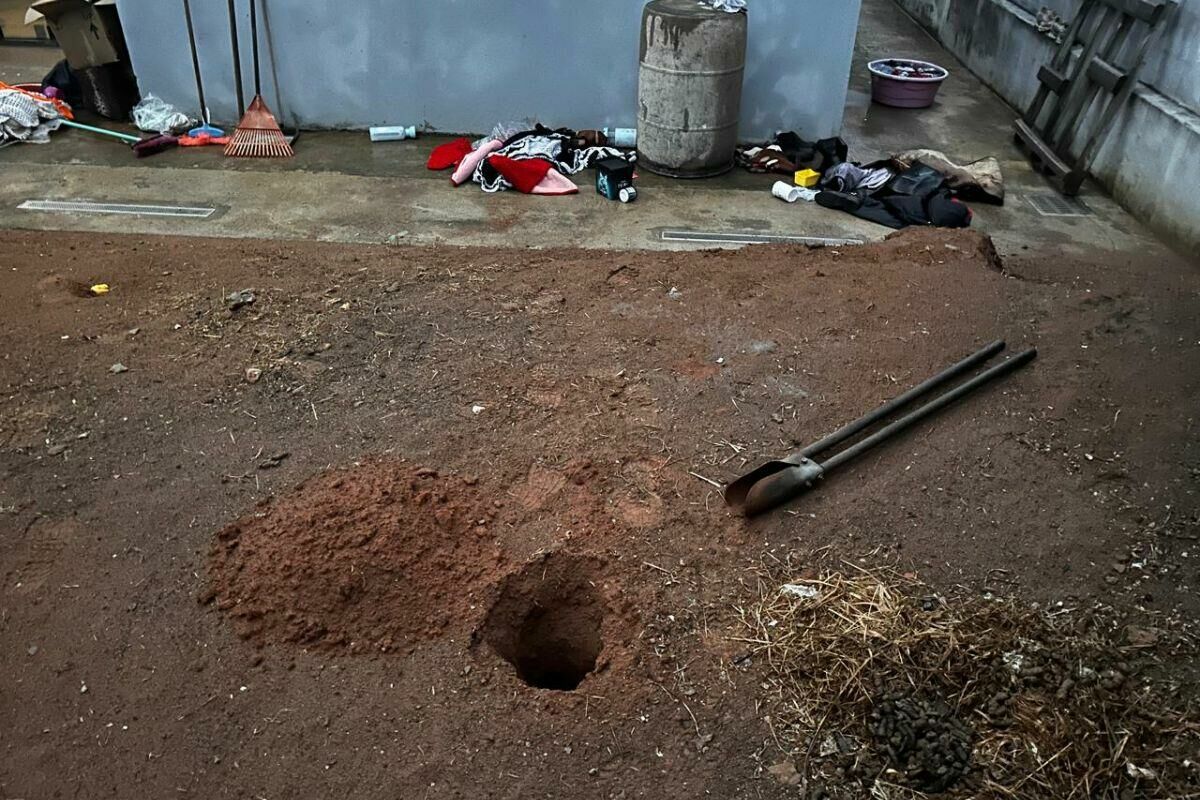 Imagem de compartilhamento para o artigo Polícia prende jovem por tráfico após denúncia anônima em Aparecida do Taboado da MS Todo dia